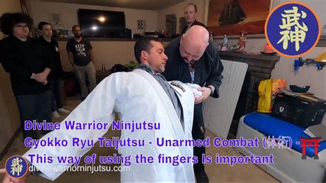 Gyokko Ryu Taijutsu Unarmed Combat 体術 This Way Of Using The