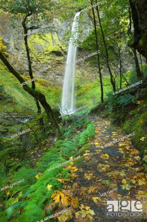 Trail To Elowah Falls Columbia River Gorge National Scenic Area Oregon