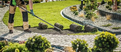 What Should You Ask A Landscaping Company When Hiring Them