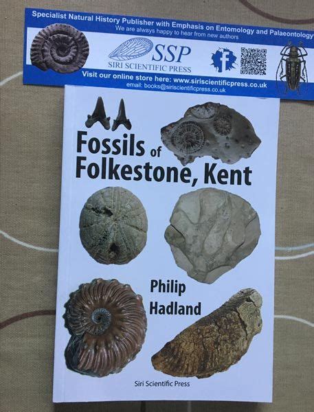 Fossil Collecting Guide To The Folkestone Area Folkestone Fossils
