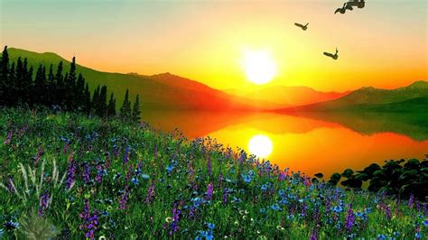 Beautiful Landscape With Golden Sunrise Animated Background