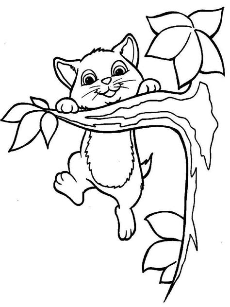 Cat coloring page, cat and kittens drinking milk coloring pages featuring hundreds of kitty coloring pages and cute kitten coloring pages. Cats coloring pages. Download and print cats coloring pages