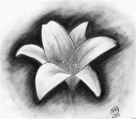 Shaded Flower Drawing At PaintingValley Com Explore Collection Of