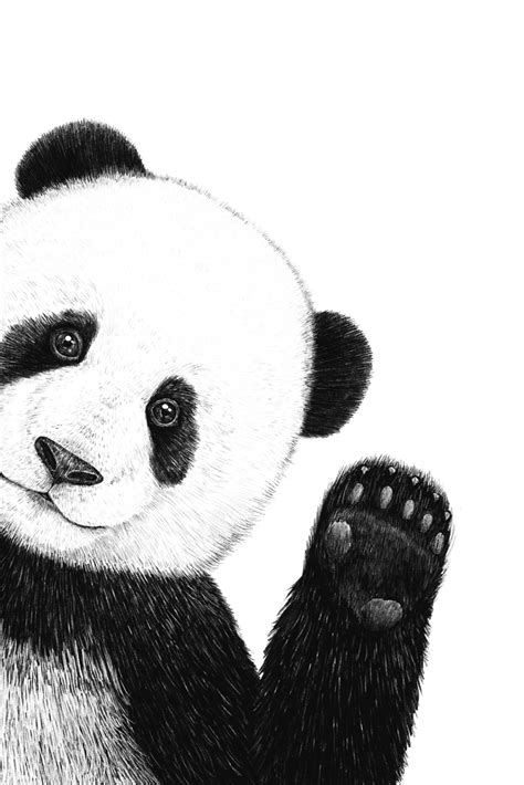 Cute Panda Art Print By Valeriya Korenkova Kodamorkovkart Panda Art