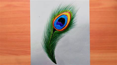 Top Peacock Feather Sketch Images Latest In Eteachers