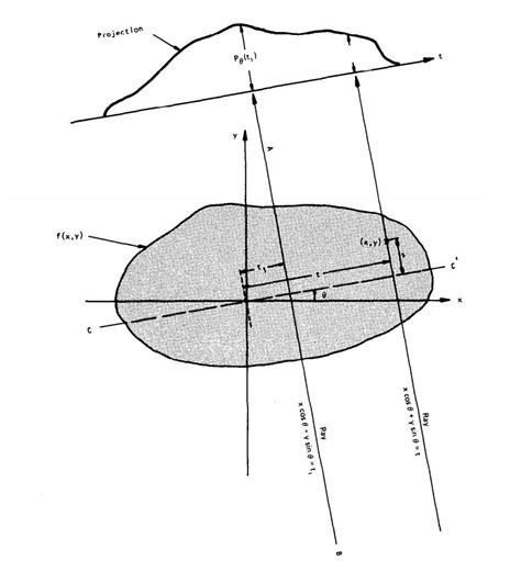 One Dimensional Projection Download Scientific Diagram