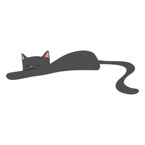 Cat Sleeping Flat Transparent Png And Svg Vector File