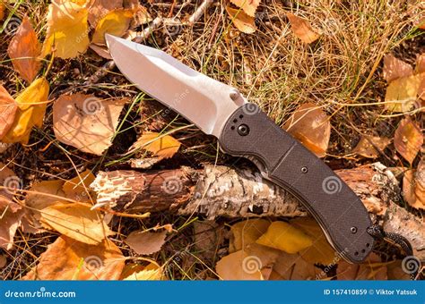 Knife On The Fall Foliage Autumn Season Stock Image Image Of Fall