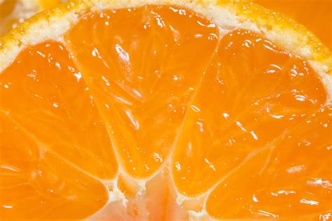 Close Up Of An Orange Fruit 2225300 Stock Photo At Vecteezy