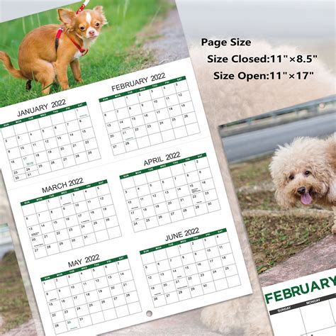 Buy 2022 2023 Calendar Pooping Dogs Wall Calendar 2022 2023 From July