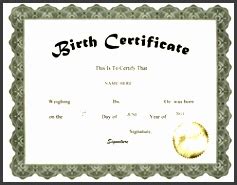 Sub out the imagery with your photos. 10 Editable Birth Certificate Template - SampleTemplatess ...