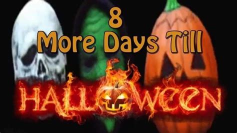 Three Pumpkins With The Words 8 More Days Till Halloween