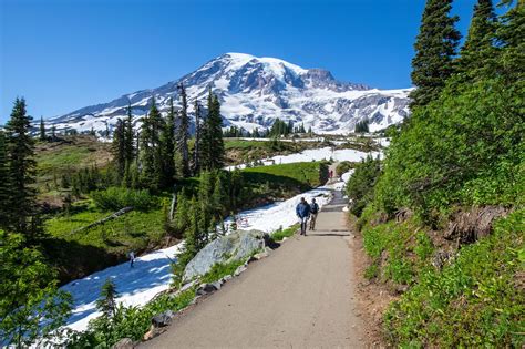 Amazing Things To Do In Mount Rainier National Park Earth Trekkers