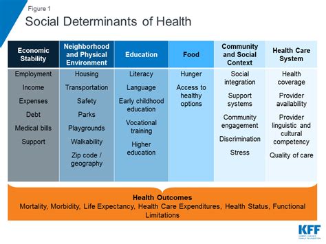 10 Social Determinants Of Health