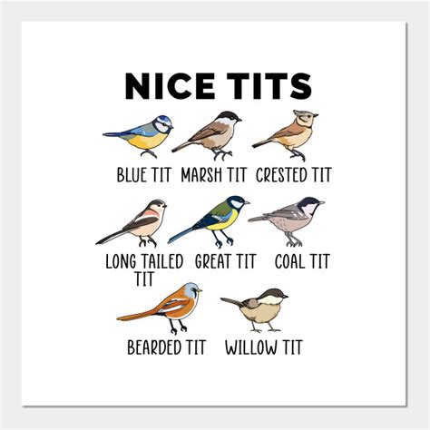 Nice Tits Funny Birdwatcher Pun T Bird Enthusiastic Nice Tits Birdwatcher Bird Enthusiastic