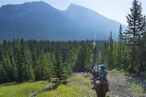 Tripadvisor 3 Hour Banff Horseback Riding Adventures Provided By