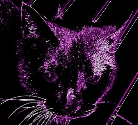 Purple Neon Cat Photograph By Guy Pettingell Fine Art America