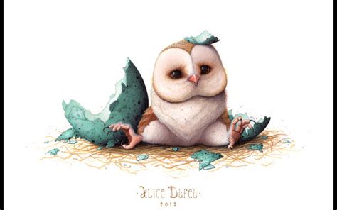 Cute Owl Desktop Wallpaper Wallpapersafari