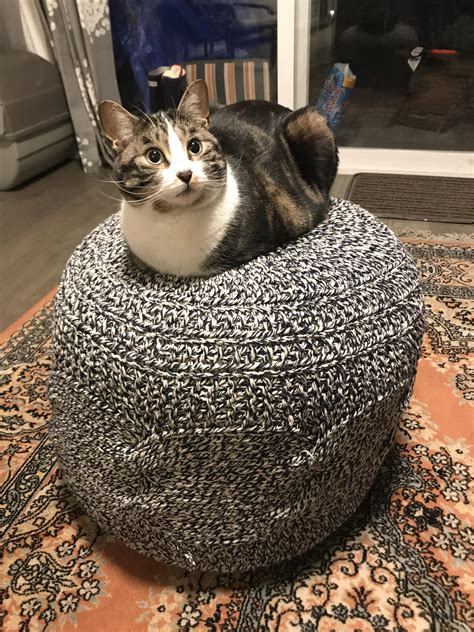 Perfect Cat Loaf Rcatloaf