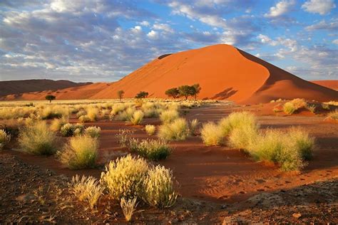 El Desierto Del Namib Namibia