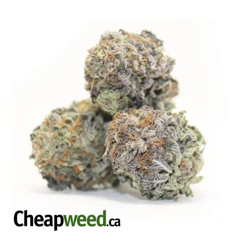 Buy Tonys Purple Og Kush Online Cheap Weed