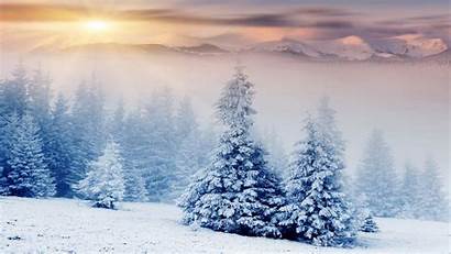 Winter Snow Trees 4k Sunset Mountains Wallpapers