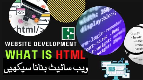 Become A Developer In 3 Months Learn Programming Web Development