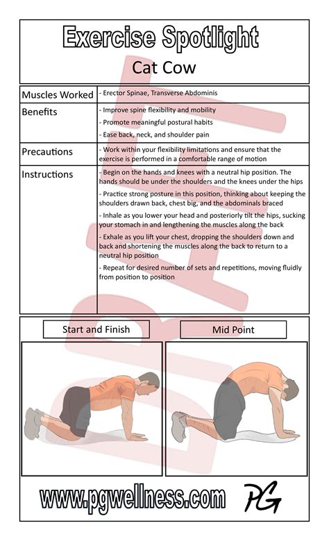 Exercise Spotlight Poster Cat Cow PGWellness