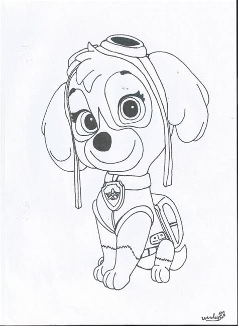 Skye Paw Patrol Coloring Pages Cartoons Coloring Home