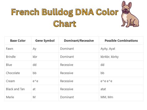 French Bulldog Dna Color Chart Unlocking The Mysteries