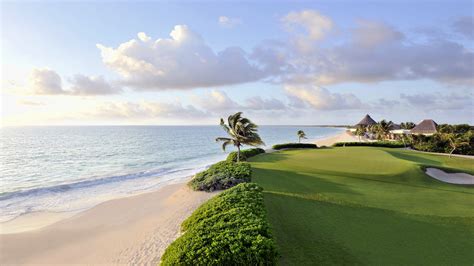 Nature Landscape Water Sea Mexico Golf Course Palm