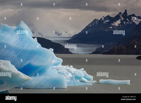 Icebergs In Grey Lake With Grey Glacier In Background Torres Del Paine