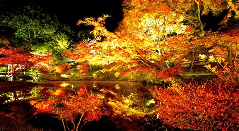 Le Autumn Night Colours By Troldemort On Deviantart
