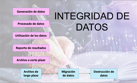 ¿integridad De Datos Por QuÉ Y CÓmo