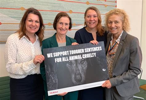 Getting Tougher Animal Cruelty Sentences Nia Griffith Mp