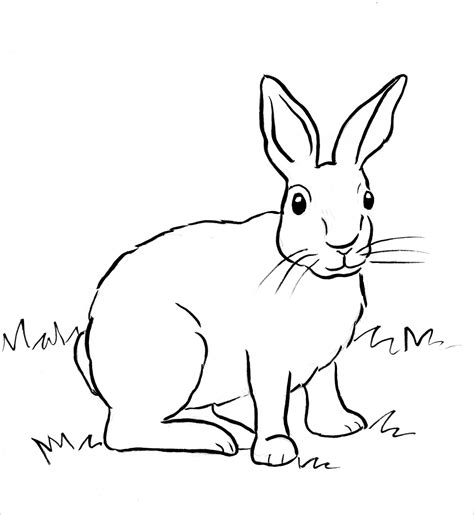 Easy Rabbit Coloring Page Coloring Pages