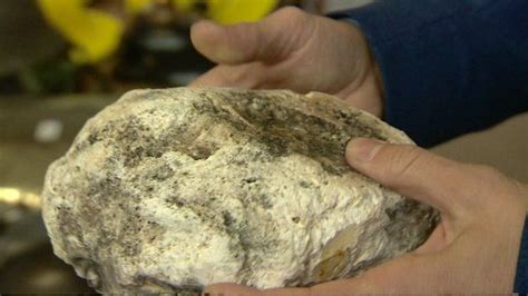Lump Of Rare Whale Vomit Sells For £11k At Auction Bbc News