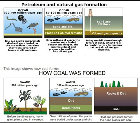 How Do Fossil Fuels Form