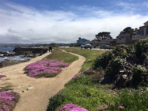 Pacific Grove Shoreline Parkway Marine Refuge 2020 All You Need To