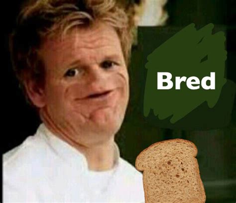 Its My Own Gordon Ramsey Meme And I Love It
