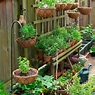How to Start a Container Garden for Beginners: Ultimate Gardening Guide ...