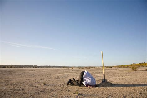 Businessman Head In Sand Stock Photos Pictures And Royalty Free Images