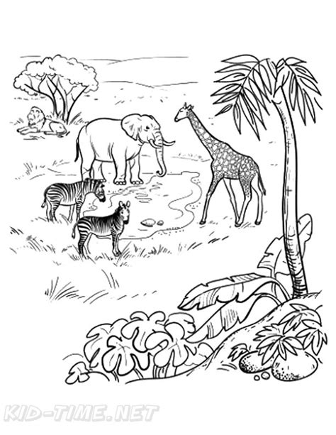 Amazon Rainforest Animals Coloring Pages