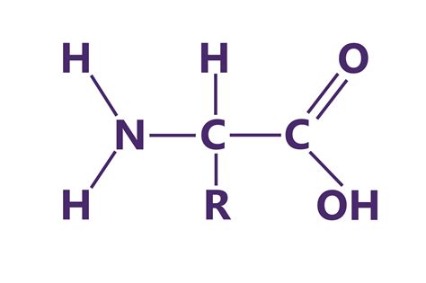 Amine Chemical Structure