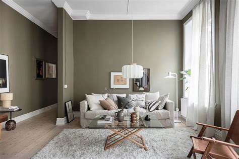 Olive Green Wall Living Room Ideas