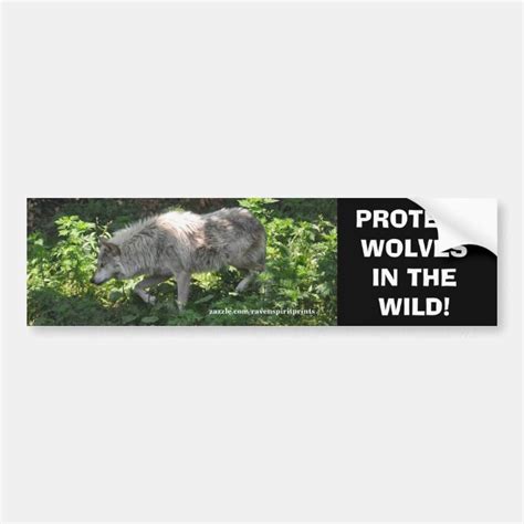 White Wolf Wildlife Conservation Bumper Sticker