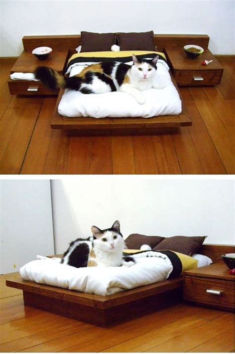 30 Cool Cat Beds Ideas For Your Four Legged Buddy Hercottage