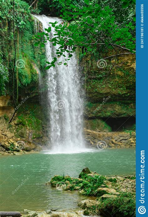beautiful waterfall in dominican republic wildlife in paradise stock image image of river