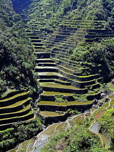 Just Me Just My Photos Banaue Rice Terraces Ifugao Philippines