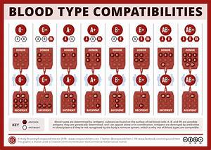 Blood Type Chart Genzels